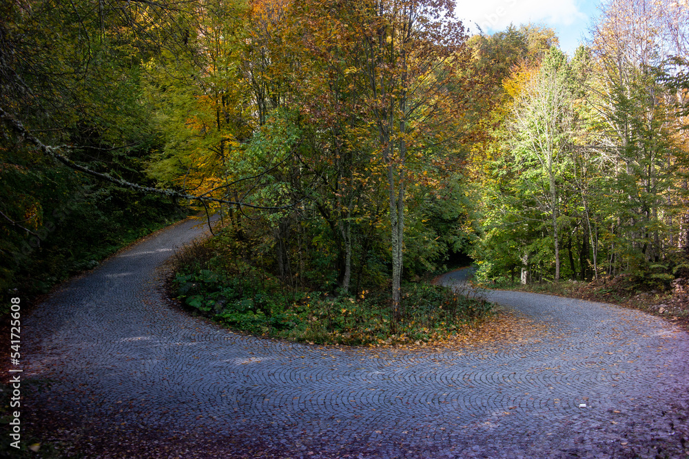 The road in autumn and a beautiful bend