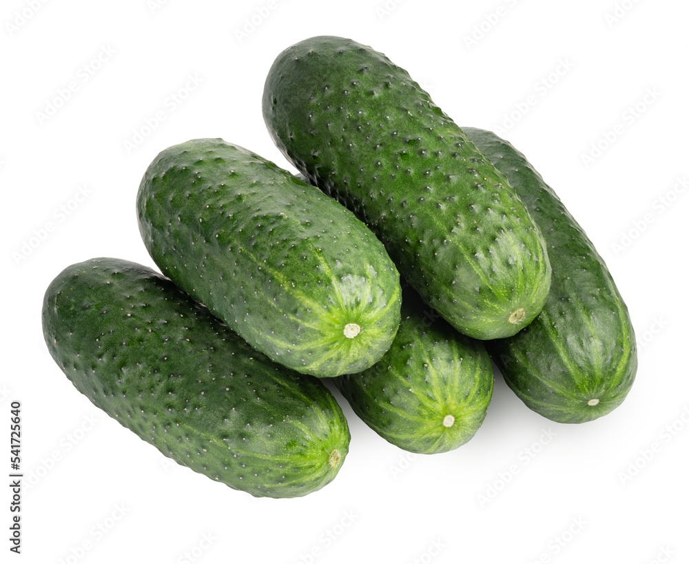 cucumbers isolated on white. the entire image in sharpness. cucumbers isolated on white. the entire image in sharpness.