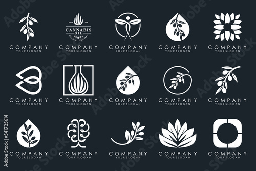 creative leaf and olive oil logo design icon set.