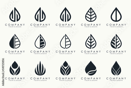 leaf and drop logo design vector