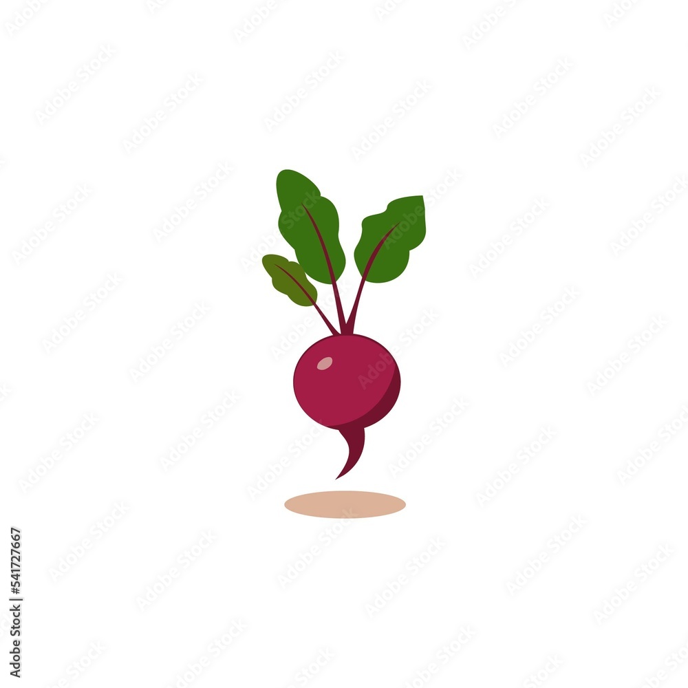 radish clipart image illustration vector radish clipart image illustration vector
