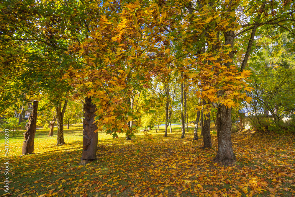 Colorful autumn landscape panorama at Birstonas resort