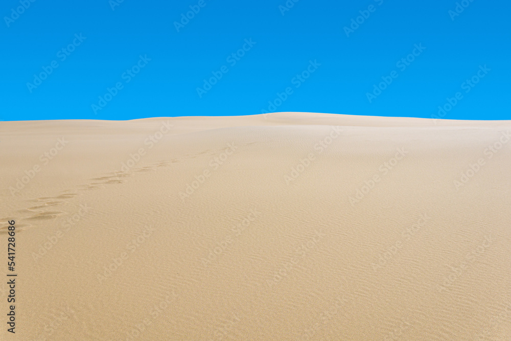 sandy desert with disappearing human footprints