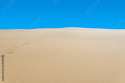 sandy desert with disappearing human footprints