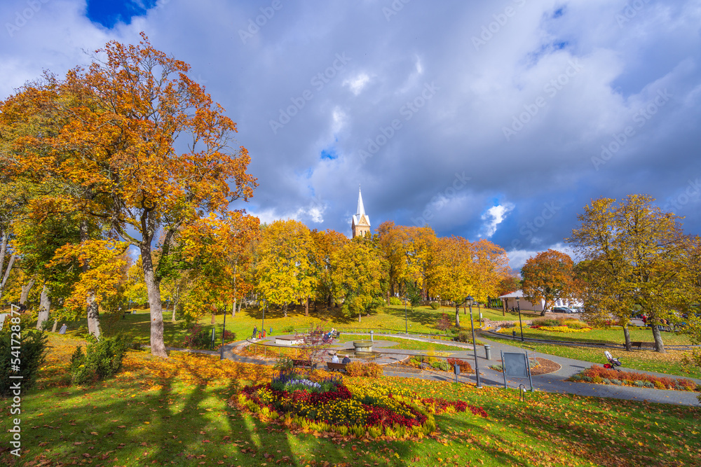 Colorful autumn landscape panorama at Birstonas resort