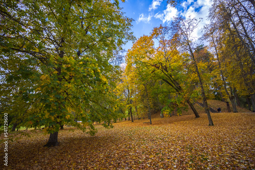 Colorful autumn landscape panorama at Birstonas resort photo