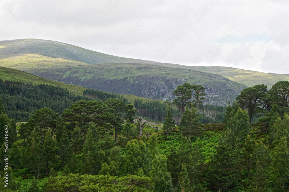 Glen Affric National Nature Reserve, Scotland: Glen Affric, often described as the most beautiful glen in Scotland, contains one of the largest ancient Caledonian pinewoods in the country.