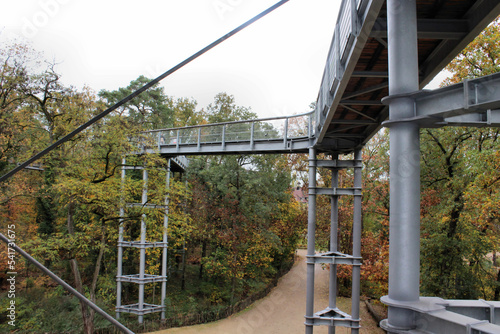 Baumkronenpfad Beelitz photo