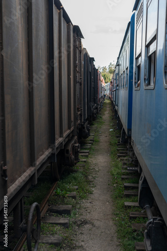 trains on the railway