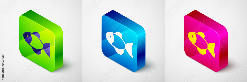 Isometric Fish icon isolated on grey background. Square button. Vector