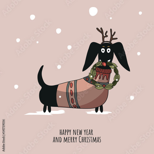 A New Year's dachshund in a cute sweater, holding a Christmas wreath in her teeth. A postcard for the winter holiday. Vector illustration of the invitation. Happy New Year and Merry Christmas.