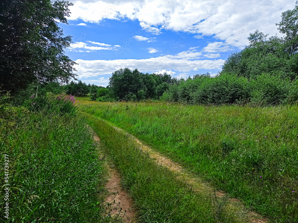 Rural road through a meadow