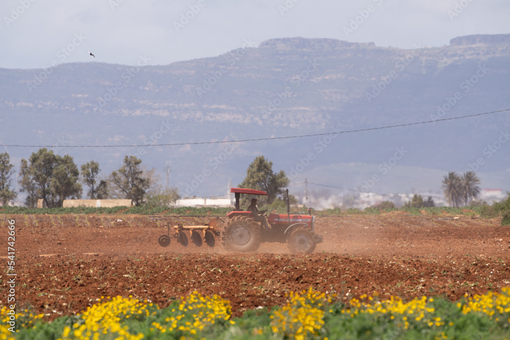 Obraz premium Various views of Cap Bon, north east Tunisia
