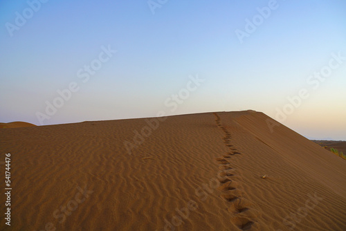 footprint in the desert, sand