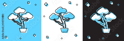 Set Japanese bonsai tree icon isolated on blue and white, black background. Japanese culture, horticulture, olericulture hobby concept. Vector
