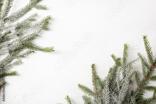 White holiday background with green snowy branches and copy space