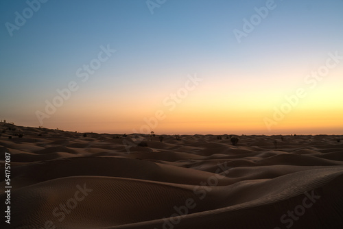 Views of the desert  Douz region  southern Tunisia