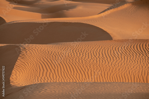 Fototapeta Naklejka Na Ścianę i Meble -  Views of the desert, Douz region, southern Tunisia