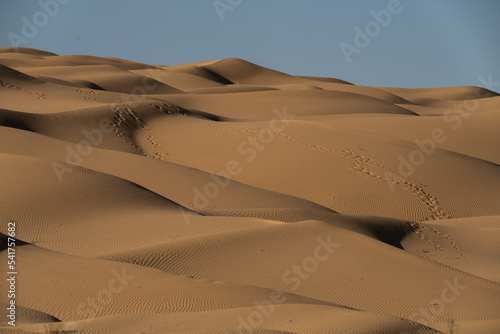 Views of the desert  Douz region  southern Tunisia