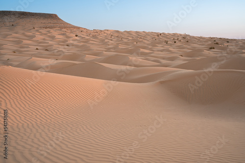 Views of the desert, Douz region, southern Tunisia