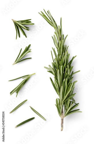 fresh twig of rosemary, a couple of smaller pieces and single needles isolated over a transparent background - food, health or perfumery related design element, top view / flat lay