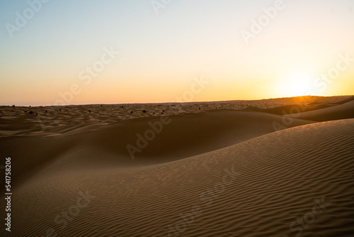 Fototapeta Naklejka Na Ścianę i Meble -  Views of the desert, Douz region, southern Tunisia