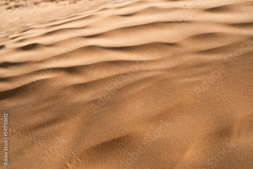 Views of the desert, Douz region, southern Tunisia © skazar