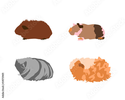 set of guinea pigs in silhouette style