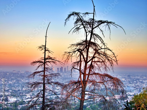Sonnenuntergang in den Hollywood Hills