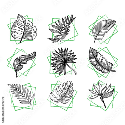 Set of tropical elements tropical monster leaves, banana leaves, etc. Hand-drawn doodle-style elements. Bright greens in abstract squares. Tropics. Summer.