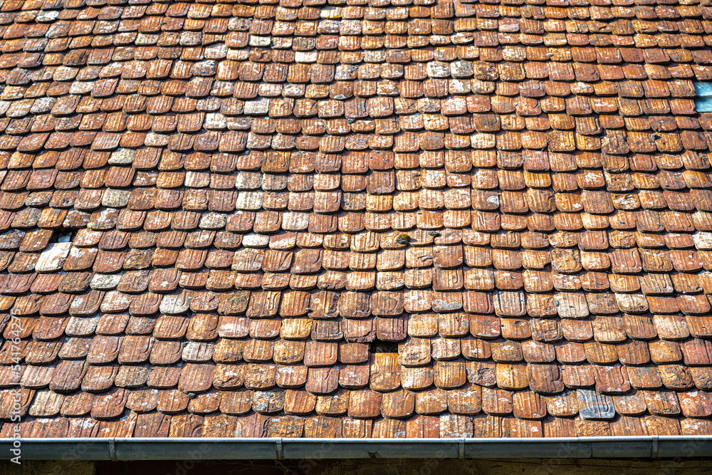 Clay Shingles on a Roof in Alsace, France