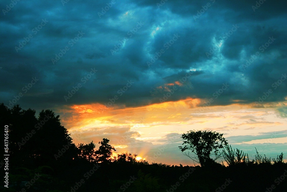 Sonnenuntergang hinter Baumreihe