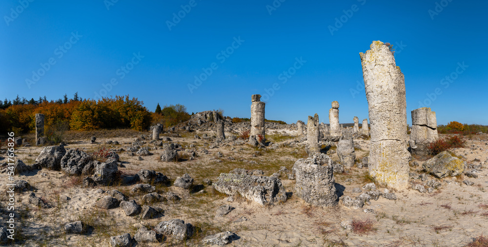 panorama landscape of the Stone Forest in the Pobiti Kamani desert near Varna