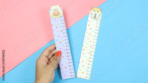 Cute Paper Ruler - School Craft