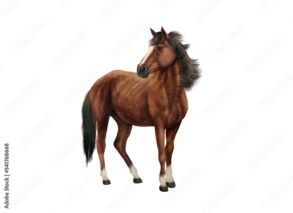 Obraz premium cheval, ferme, mammifère, illustration, isolé, poney, silhouette, blanc, roux, jaune, marron; étalon, crin, andalou, noir, bétail, fond blanc