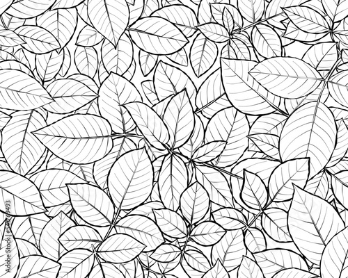 Seamless pattern. Rose Leaves. Black and white realistic graphics. Vector. Digital paper. Surfaces design.