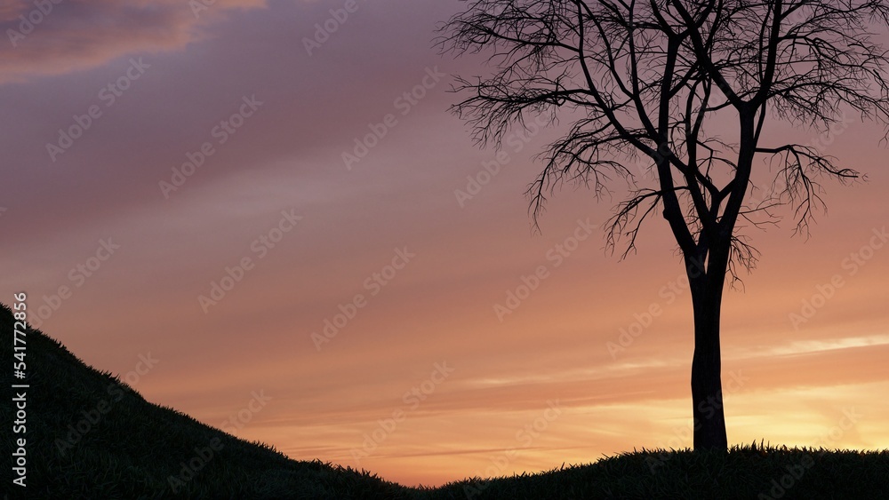 sunset in the mountains, Tree silhouette.