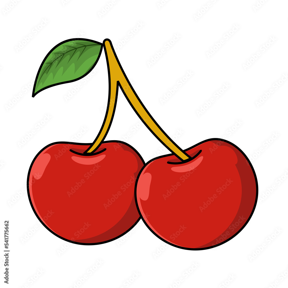 illustration of cherry illustration of cherry