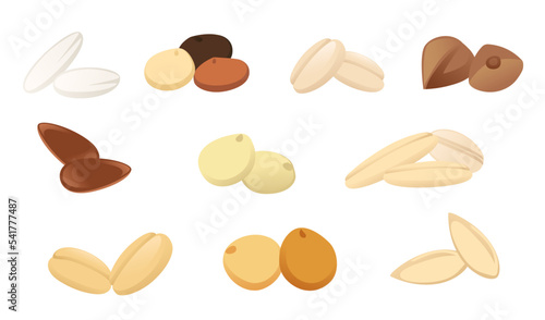 Set of agriculture ears and grain vector illustration isolated on white background