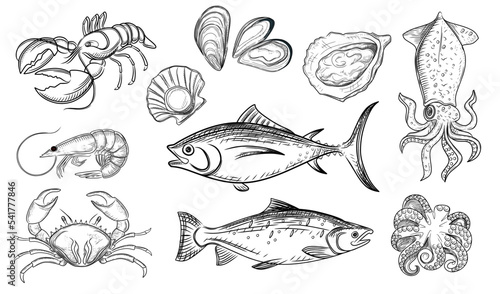 Set of seafood delicacy vector illustration on white background