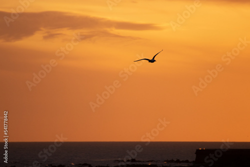 Atardecer de primavera