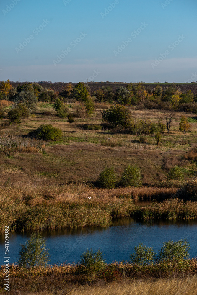 landscape of the river