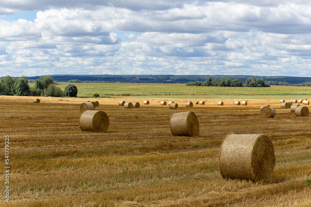 View of a wide harvested field