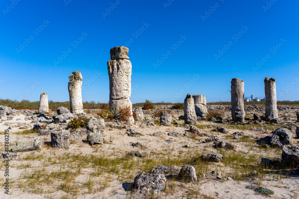 view of the Pobiti Kamania Stone Forest and desert in Varna Province of Bulgaria
