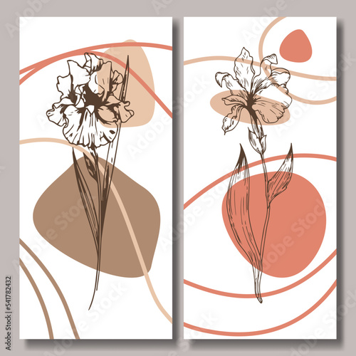 Hand drawn flower abstract background collection