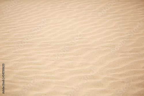 Sandy beach for background. The texture of the sand. Top view of dunes in the desert.