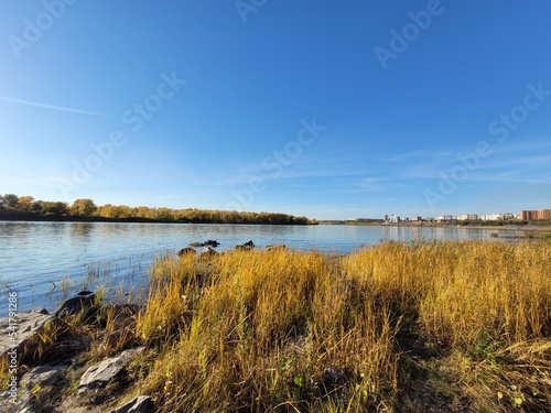 lake in the summer