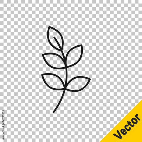 Black line Willow leaf icon isolated on transparent background. Vector