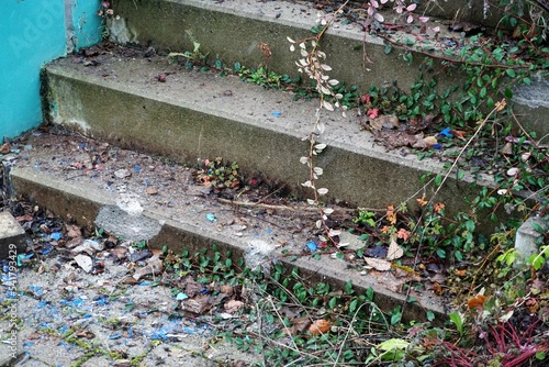 Alte graue Betontreppe mit grünen Efeuzweigen und bunten Blättern am Morgen im Winter