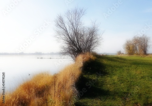 Rzeka Wisla - woda & zielona łąka